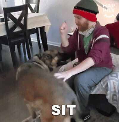 Man Sitting On Bed With Dog Saying Sit GIF