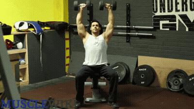 Man Sitting On Bench Holding Dumbbells Under Gym Wall GIF