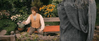Man Sitting On Bench In Garden Holding Flowers GIF