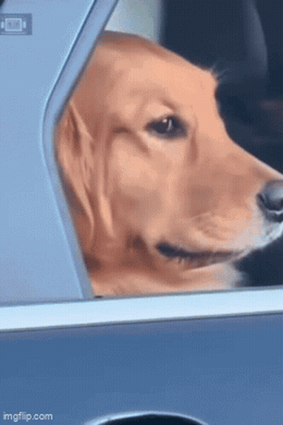 Man Sitting On Couch I Get It Now GIF