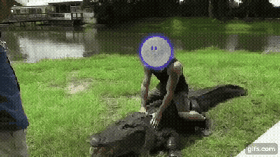 Man Sitting On Large Alligator In Grass GIF