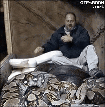 Man Sitting On Pile Of Tires Next To Snake GIF