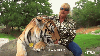 Man Sitting On Rock With Tiger Saying Well I Saw A Tiger GIF
