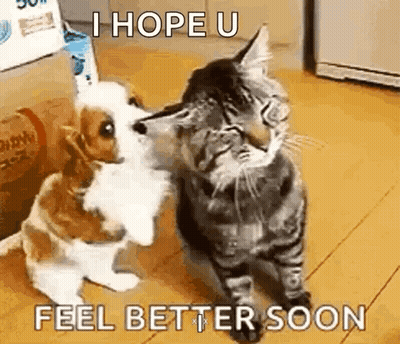 Man Sitting On Swing Waiting For Div 2 Standings Update GIF