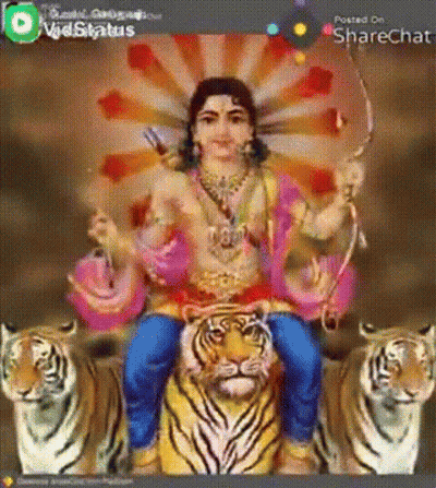 Man Sitting On Tiger Holding Bow And Arrow GIF