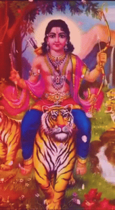Man Sitting On Tiger Holding Bow And Arrow GIF