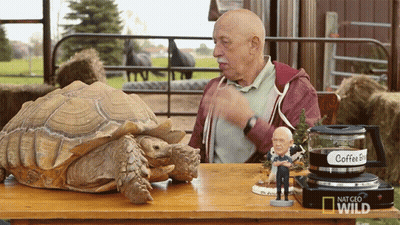 Man Sitting With Turtle And Coffee Express GIF