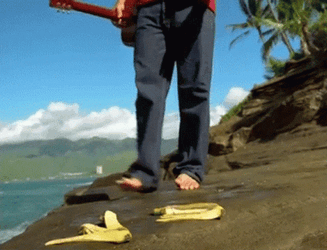 Man Slipping Fall On The Ocean GIF
