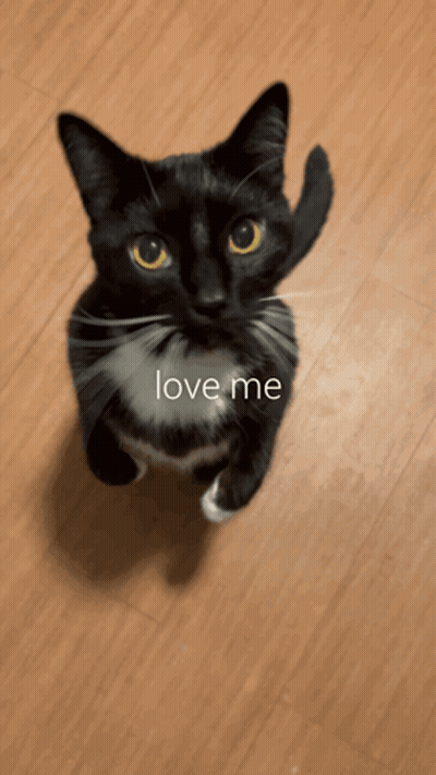 Man Smiling Close Up GIF