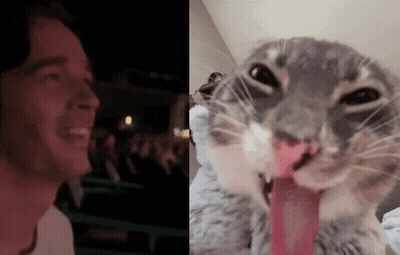 Man Smiling Next To Tongue Out Cat GIF