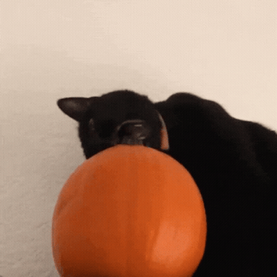 Man Smoking Cigarette In Front Of Pumpkin With Candle GIF