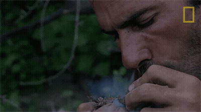 Man Smoking With National Geographic Logo GIF