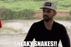 Man Sneaky Snakes GIF