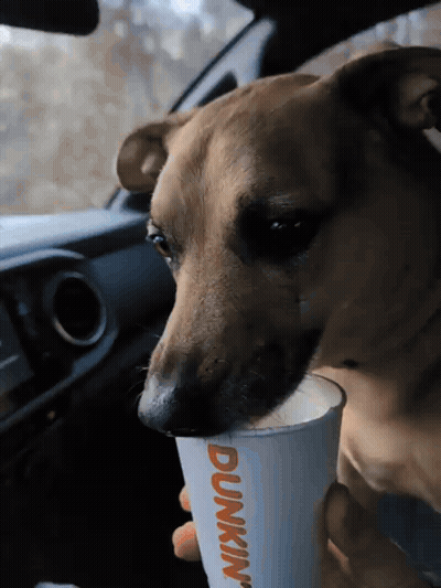 Man Speaking To Another With Speak To The Hand GIF