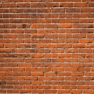 Man Standing Before Brick Wall GIF