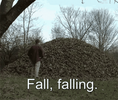 Man Standing Before Pile Of Leaves Saying Fall Falling GIF
