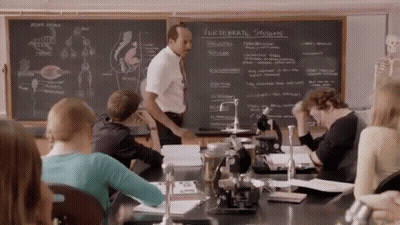 Man Standing Before Vertebrate Systems Blackboard GIF