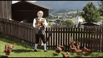 Man Standing By Wooden Fence With Chickens GIF
