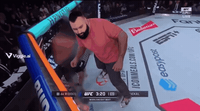 Man Standing In Boxing Ring With Budweiser Ads GIF