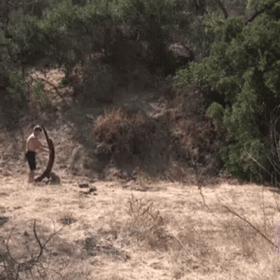 Man Standing In Dry Grassy Field With Trees GIF