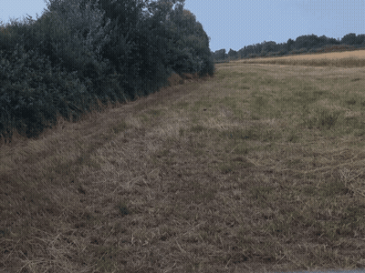 Man Standing In Field With White Shirt GIF