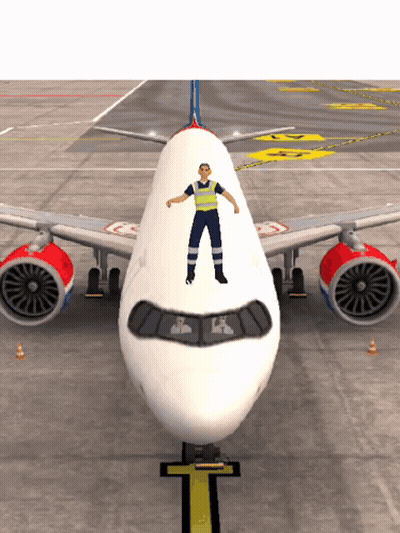 Man Standing In Front Of Airplane GIF