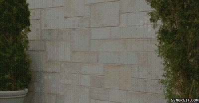 Man Standing In Front Of Brick Wall GIF