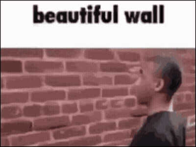 Man Standing In Front Of Brick Wall GIF