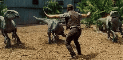 Man Standing In Front Of Dinosaurs GIF