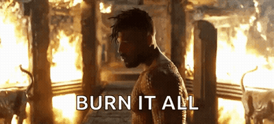 Man Standing In Front Of Fire Saying Burn It All GIF