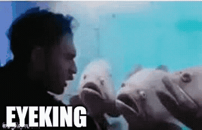 Man Standing In Front Of Fish Saying Eyeking GIF