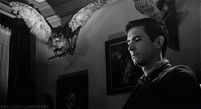 Man Standing In Front Of Flying Owl GIF