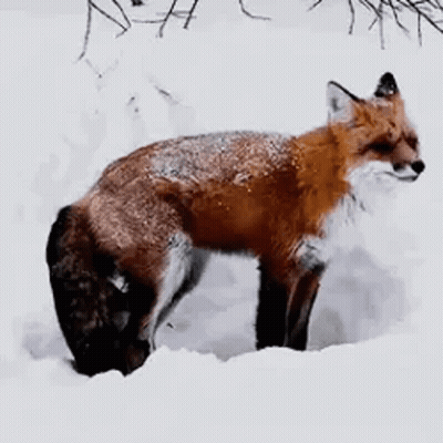 Man Standing In Front Of Iron Fist Ult Wall GIF