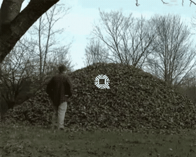 Man Standing In Front Of Leaf Pile In Field GIF