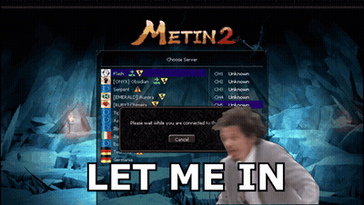Man Standing In Front Of Metin 2 Screen GIF