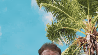 Man Standing In Front Of Palm Tree GIF