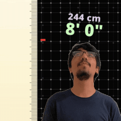 Man Standing In Front Of Ruler Saying 244 Cm 8' 0 GIF