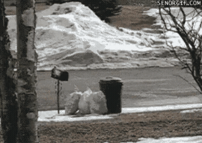 Man Standing In Front Of Window Saying Points GIF