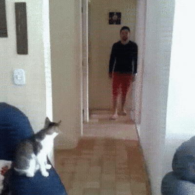 Man Standing In Hallway With Cat On Couch GIF