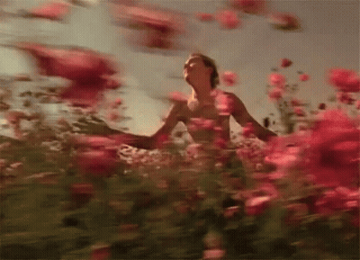 Man Standing In Red Flower Field GIF