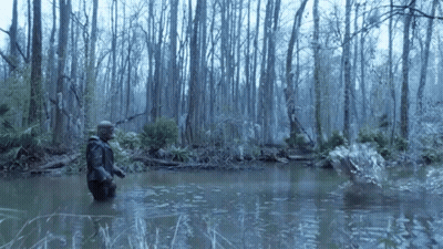 Man Standing In Swamp With Trees GIF