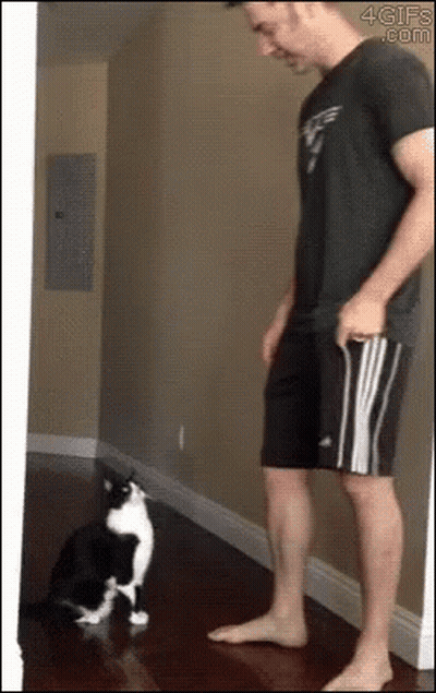 Man Standing Next To Black And White Cat GIF