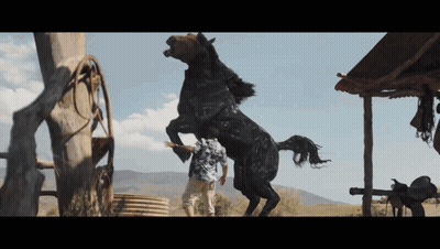 Man Standing Next To Black Horse GIF
