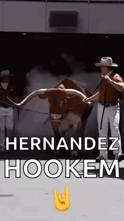 Man Standing Next To Bull With Long Horns And Cowboy Hat GIF