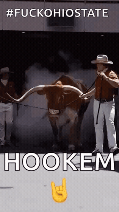 Man Standing Next To Bull With Long Horns And Hookem Sign GIF