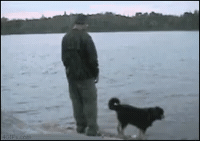 Man Standing Next To Dog In Water GIF