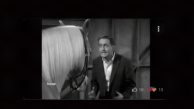 Man Standing Next To Horse Miserable Delulu GIF