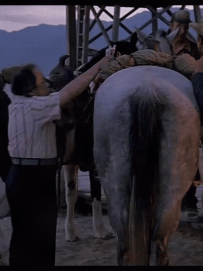 Man Standing Next To Horse With Bag GIF