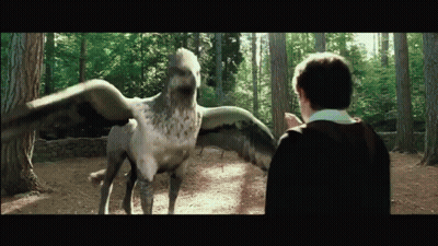 Man Standing Next To Large Bird With Wings Outstretched GIF