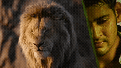 Man Standing Next To Lion GIF